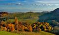 794 - AUTUMN IN VINEYARDS 05 - PODNAR JANEZ - slovenia